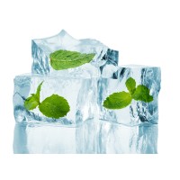 Capella Cool Mint(Ferah Nane) Capella Cool Mint(Ferah Nane)